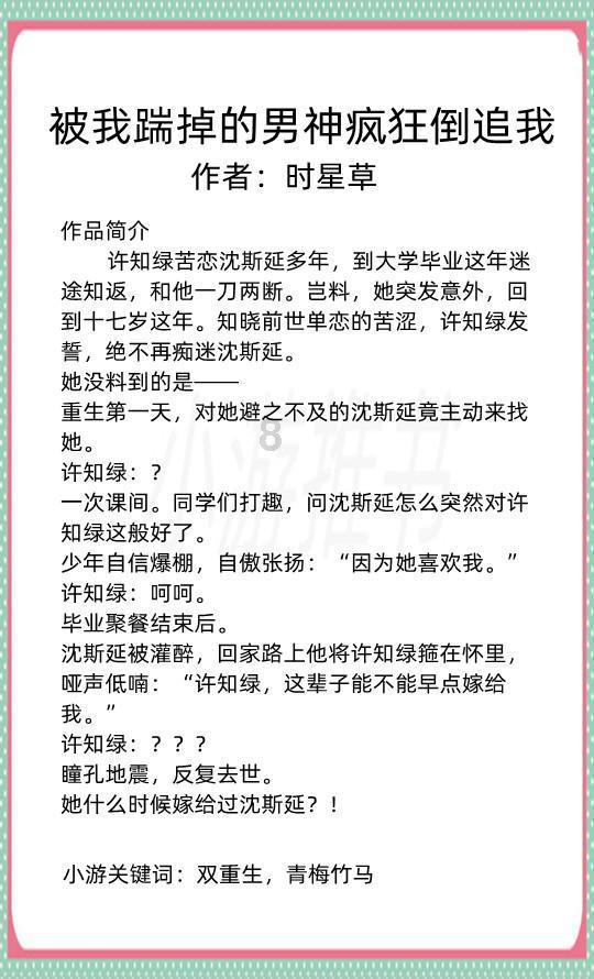 失忆症：猪猡